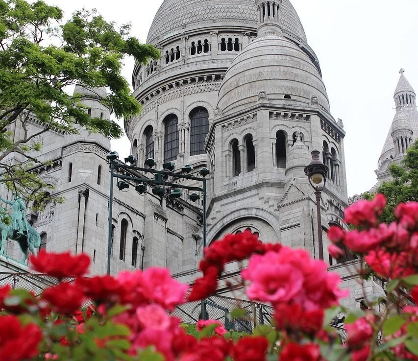 roses, montmartre, paris