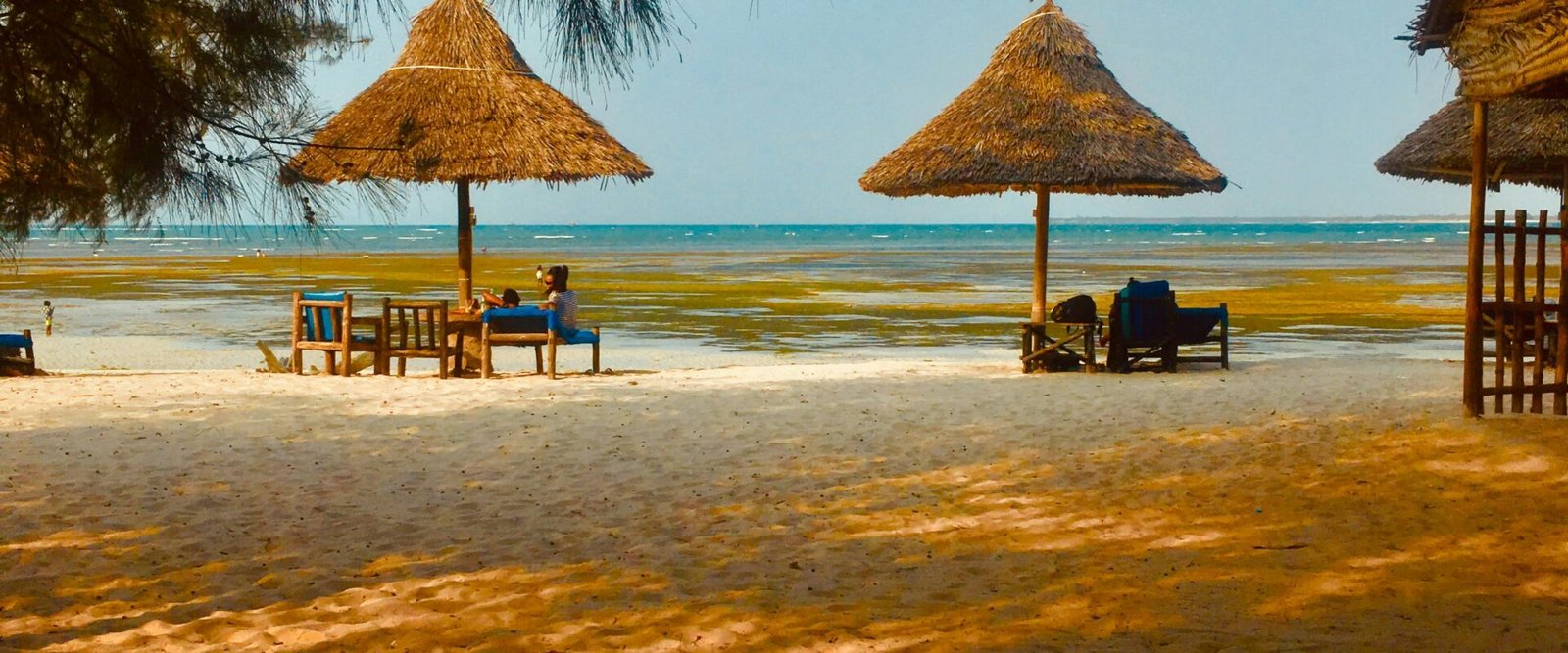 Embracing New Experiences